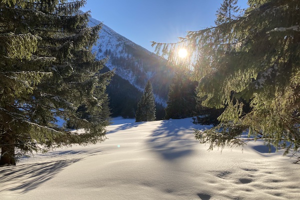 Winter-Lichtung-Sonne