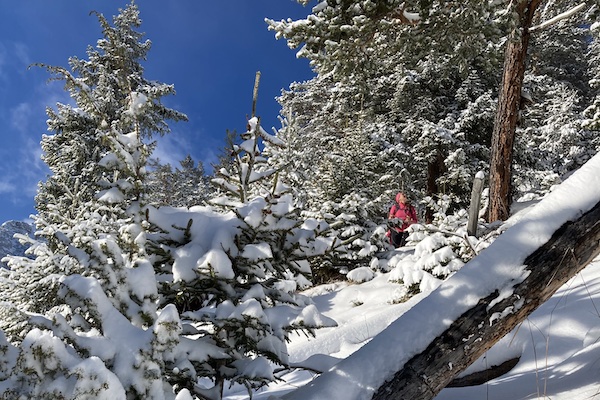 Sabine-Winter-1
