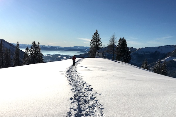 Winter-Schneeschuhspur