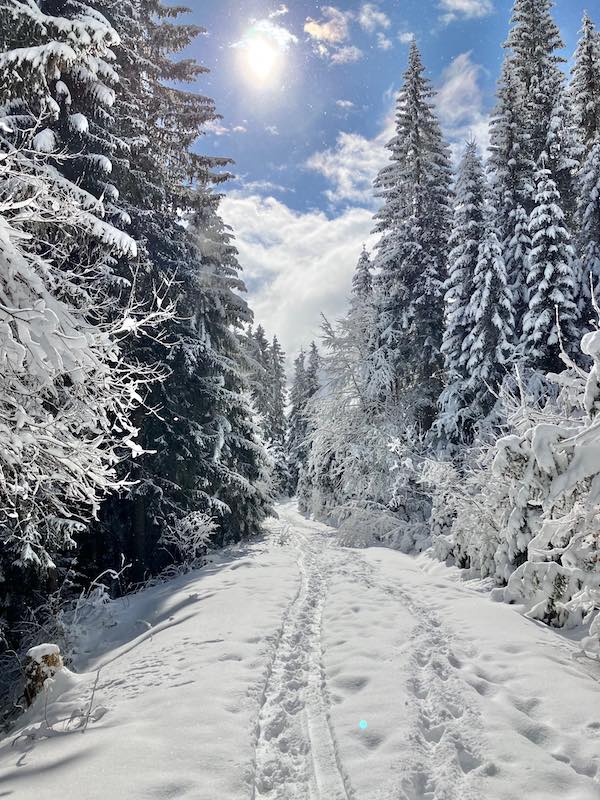 Lovely Trails - Geführte Wanderungen, einfach erleben!